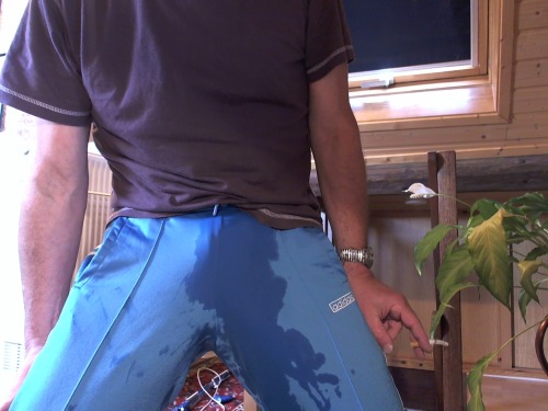 wetjeans6:  pissed shiny trackies, I love it 