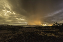 sedonajohn: Right before the bottom fell out. Bull Pens, Camp Verde, Az. 8/28/2019