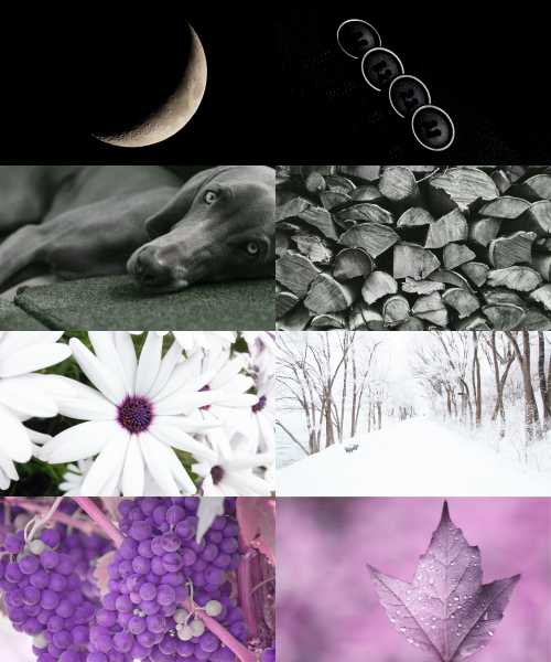 skyyequake:   PRIDE AESTHETICS → Asexual/Demisexual/GrayAsexual  “Asexual” is a wor