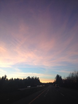 iamatinyowl:highway driving at twilight