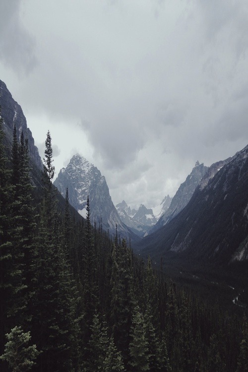 unwisely:oh-haroo:Follow me for more vertical nature and landscape!vintage