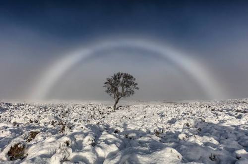 FogbowRainbows form when water droplets are present with a light source (such as sunlight) that stri