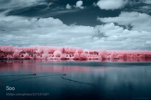 Untitled IR by arnaud_cassagnet