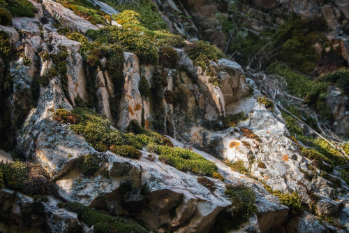 microcosmicobservations: Morning hike at Rock Canyon Facebook | Instagram | YouTube | Shop