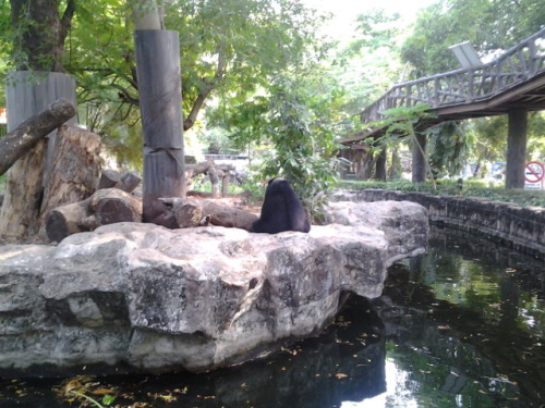 I went to Dusit zoo today, bought Delta plus with me XD