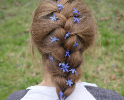 plantion:  my sister let me put flowers in her hair 