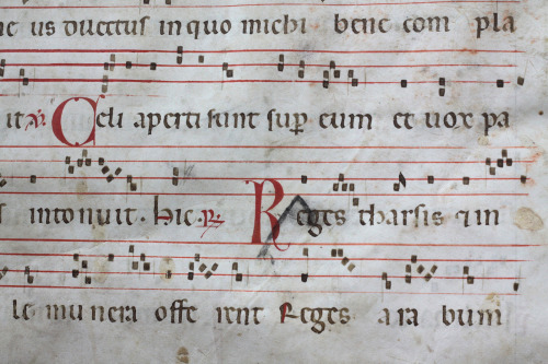 michaelmoonsbookshop: Large vellum manuscript page c1480-1500