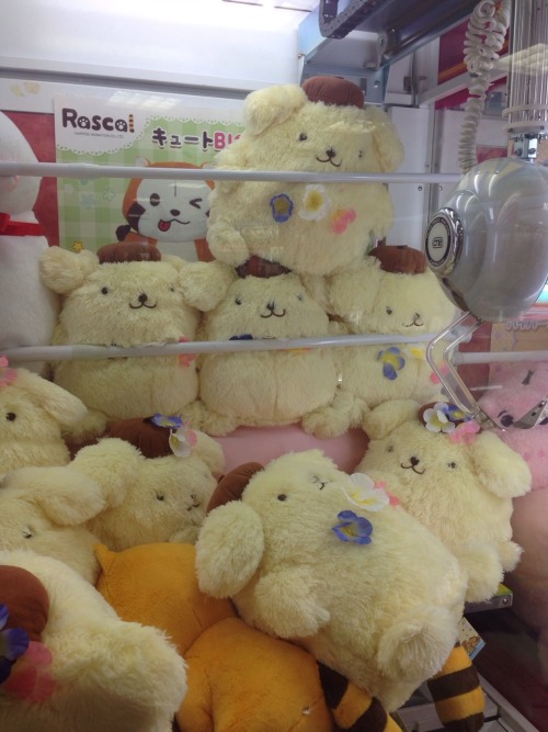 kawaii-carly: UFO catcher purin chan