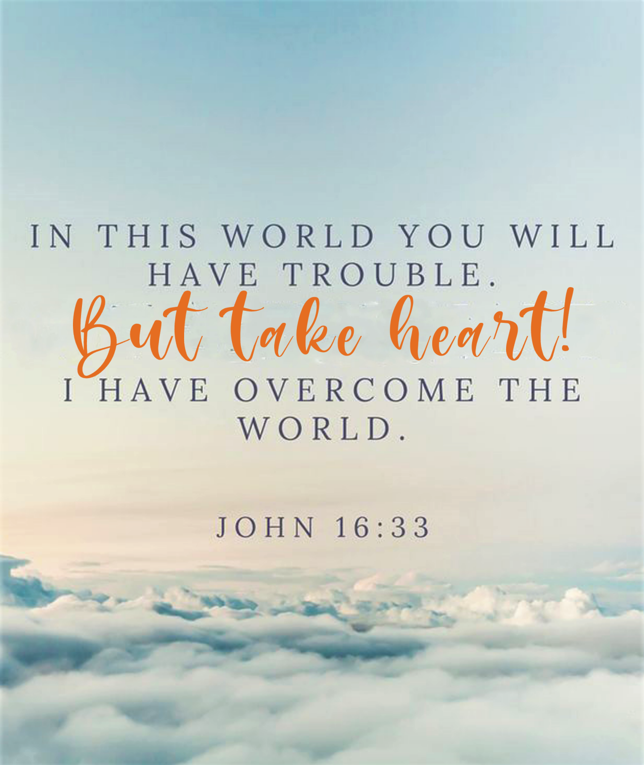 John 16:33 (NIV) -
“I have told you these things, so that in Me you may have peace. In this world you will have trouble. But take heart! I have overcome the world.”