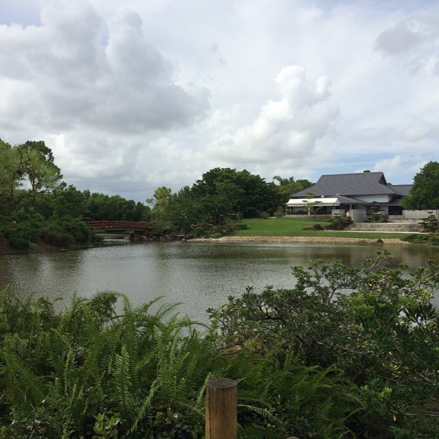 Had a wonderful time (as always) at the @morikamimuseum today! #rockfile #summer #southflorida