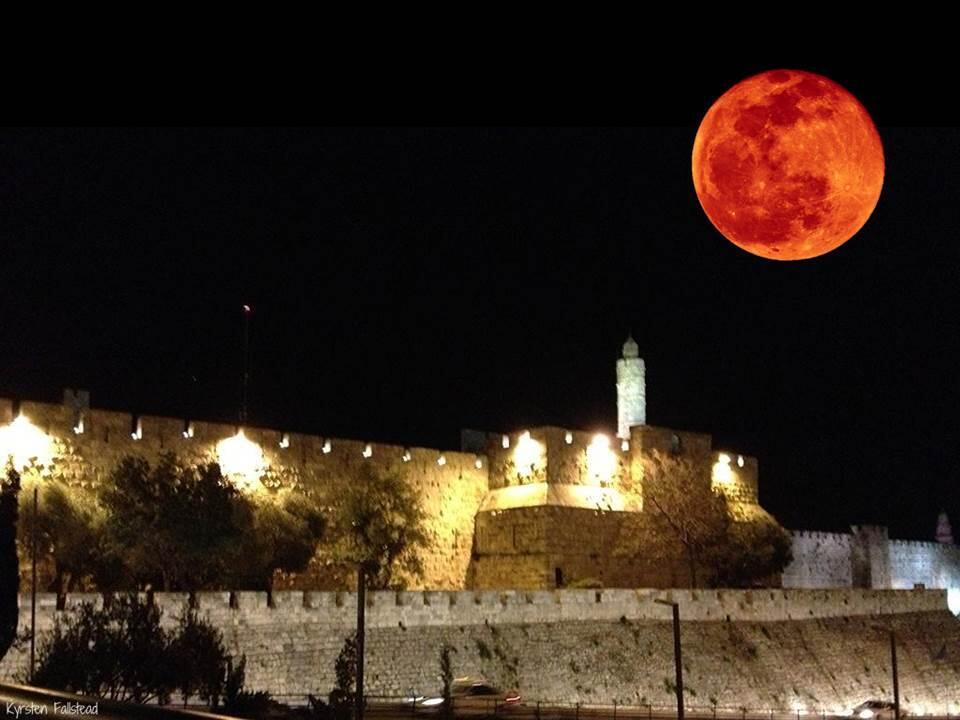 please-stop-hating:  conflictingheart:  This ‘supermoon’ total eclipse happened