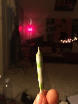 Marihuanalegal:  Max:green Apple Juicy Jays Before Bed🍏 Http://Ift.tt/1Zlbxjh