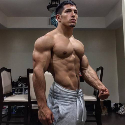 Aesthetic Muscle