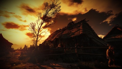 witcher photography