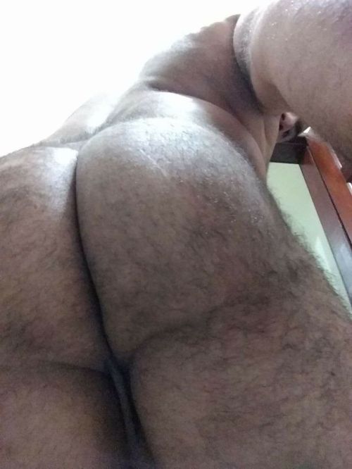 tontonho:  mature furry