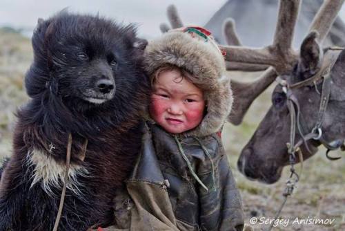 Photos are all from Nenets laika Ненецька лайкаThe Nenets herding laika is the landrace that Samoyed