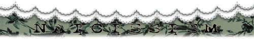 Stares At You With Bug Eyes , If You Wanna Cut A Character Out Frim A Background ( This Can Also Work