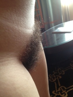 Pelo d’Autore n° 2178 Ma che Pelo da sogno!!! lovelyandhairy:  Find here amateur girls to chat 