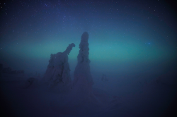 nubbsgalore:  photos by sven zacek from posio, in finalnd’s riisitunturi national park, of siberian spruce trees covered not in snow but in tykky, a hard rine formed as droplets of fog freeze to the windward side of the tree branches. 