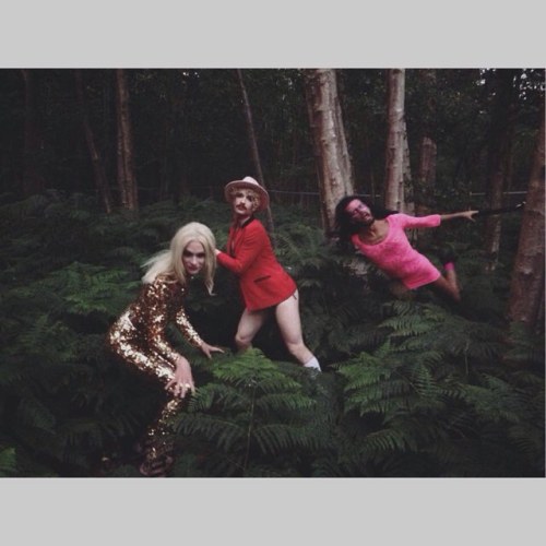 artpornblog:  THE WOODS #the2bears #tedrogers #artpornblog #latitude @sinkthepinkldn @missamyzing @jonbenetblonde @jonokitchens