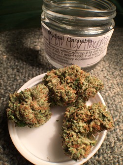 veraisastoner:Just look how beautiful this strain is, I am in love.