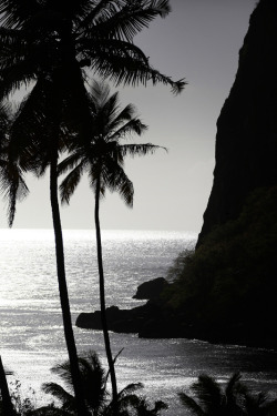 classy-captain:  St. Lucia by Andrew Hendryedited
