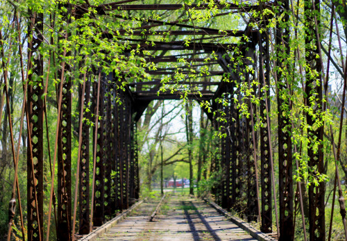 damagedintransit:  Rusted Ribcage 