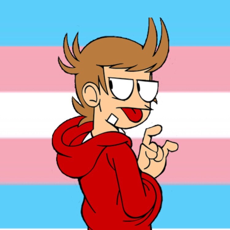 🏳️‍⚧️🏳️‍⚧️ — Matt from Eddsworld is trans and plays ROBLOX!