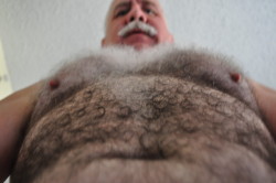 getsnastyonhairydads:  orsiar:  rottmannash:  Looking up at the summit   :P  Damn,  I’d like to frottage on that bristly torso till I squirt!!!