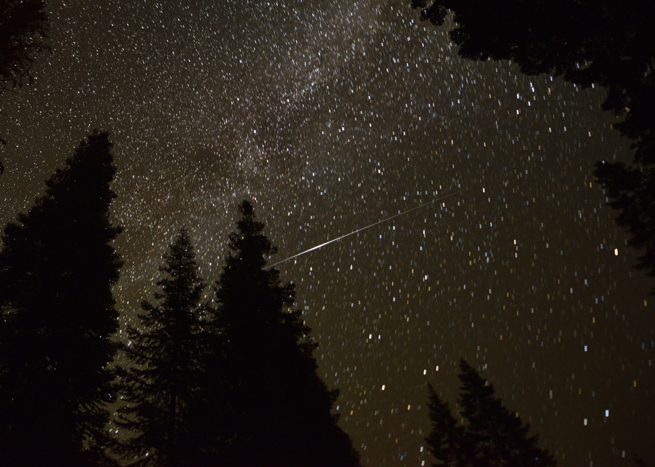 Ok last meteor, this was the biggest I caught. It was actually in 3 separate frames