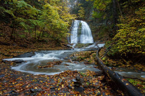 exploreelsewhere:  Today’s rain brought an end to what was an historic drought in Ithaca, NY. I’m ve