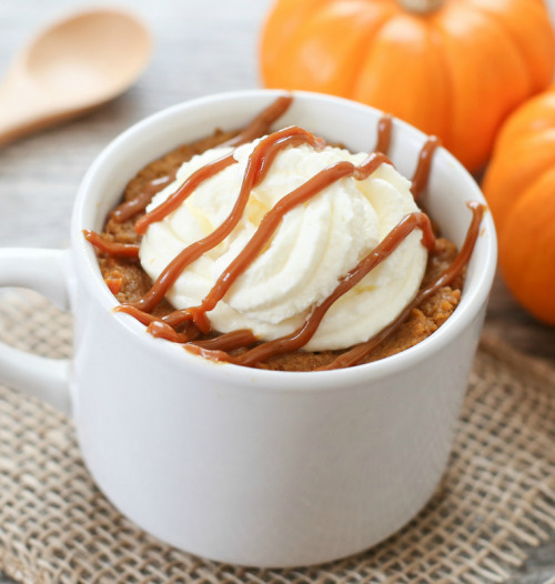 do-not-touch-my-food:  Pumpkin Pie Mug Cake