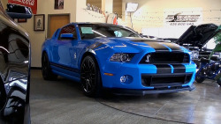 americanmusclepower:  2013 Shelby GT500 SVT