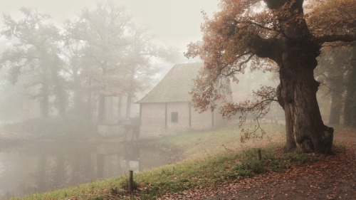 vincentcroce:Mid-season