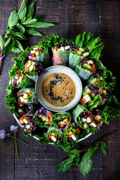 vegan-yums:Fresh spring rolls with peanut sauce / Recipe I love finger foods and dipping them into 