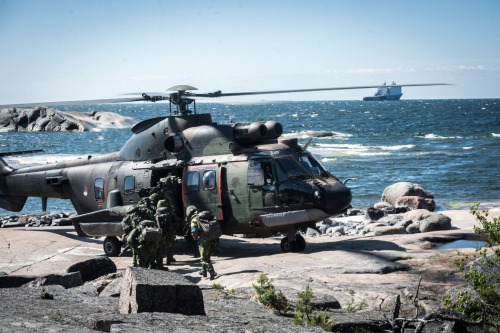 XXX militaryarmament:Swedish, Finnish and U.S photo