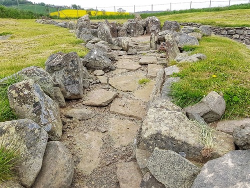 Ardestie Earth House, Angus, Scotland, 20.5.18.An exposed souterrain for a roundhouse settlement. Th