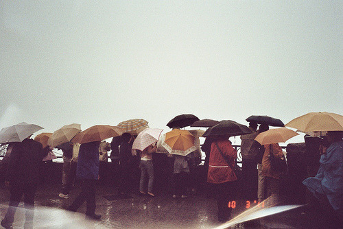quintessencely:  white | Flickr - Photo Sharing! on We Heart It. 