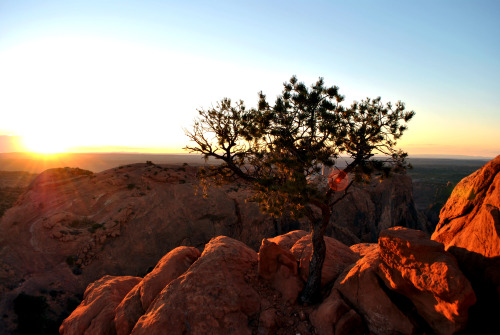 Upheaval Dome at Canyonlands National Park