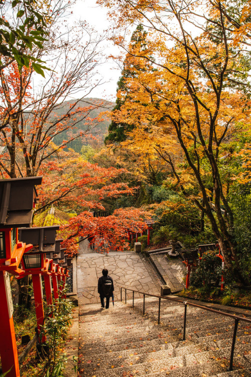 Thursday 23rd November 2017. 14:30 Mt. Kurama Kyoto.Part of the trail up the to peak of the mountain