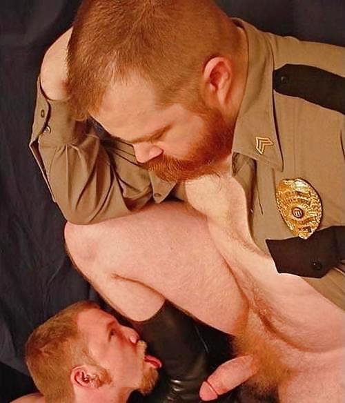 bearpicsbear: Ginger Men!