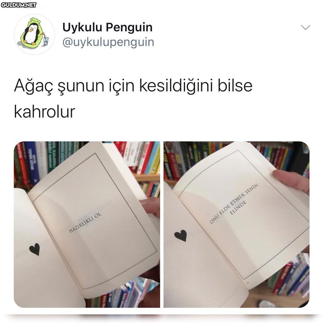 Uykulu Penguin...