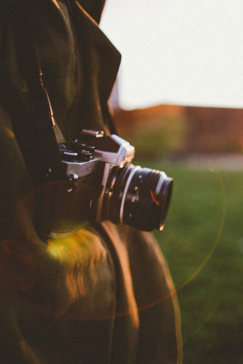 blissinqs:  ilaurens:  Untitled By: (SamAlive) - (Follow on Tumblr)  vintage/nature blog 
