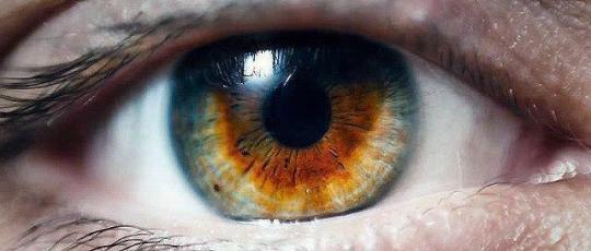 this blog is 10 years old now what the fuck