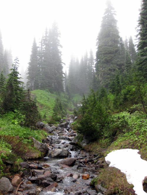 90377:Meltwater stream on Rainier by Kai