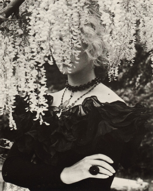 animus-inviolabilis: Wisteria Albert Watson 1985