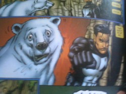 nowhereman21:  he is The Punisher,why wouldnt he punch a polar bear?  This is the Punisher&rsquo;s way of saying &ldquo;FUCK YOU P.E.T.A.!&rdquo; And I agree.