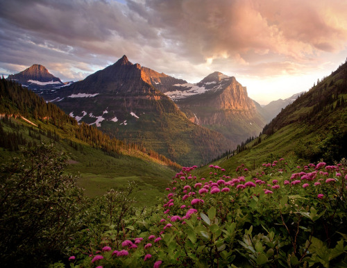 Mt. Oberlin and Bird Woman Falls, Glacier National Park