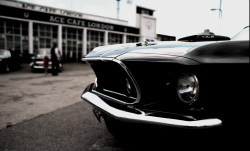 JUST THE COOLEST MUSTANGS