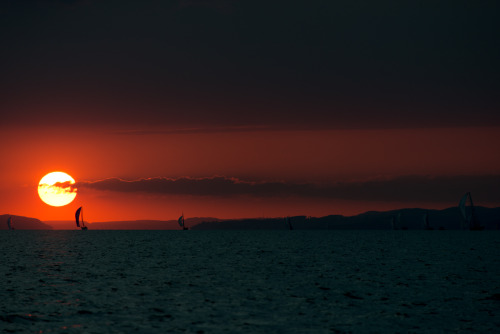 lensblr-network:  regatta round lake constance sun by fotomog.tumblr.com